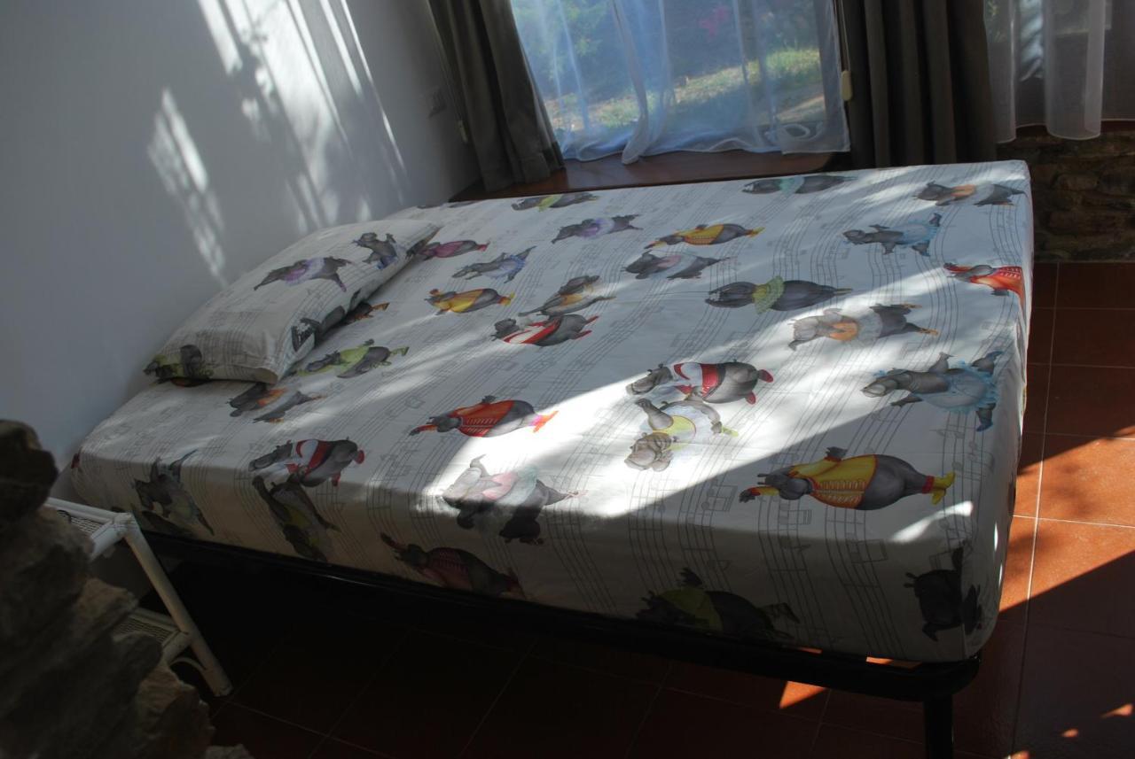 Uno Sguardo Sulla Pelosa Stintino